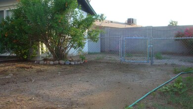 backyard2