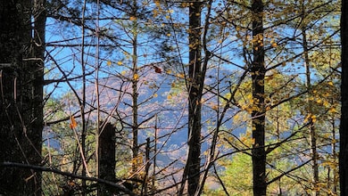 38 AC Tumbling Creek Rd, Postelle, TN 37317 - photo 7