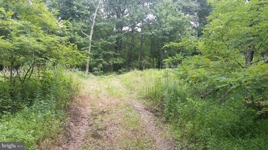 0 Gamble Ln unit 1002243754, Great Cacapon, WV 25422 - photo 7