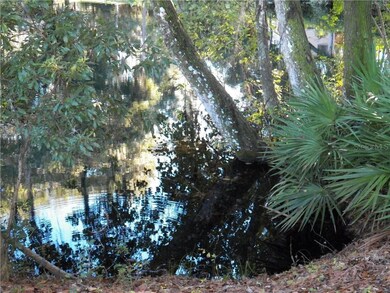 00 SW 65 Loop, Dunnellon, FL 34431 - photo 5