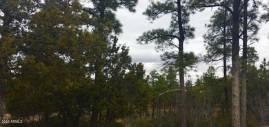 Tree4
