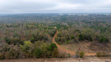 000 County Road 3272, Frankston, TX 75763 - photo 3