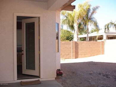 Backyard 1
