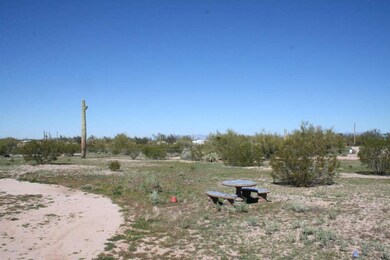 front yard2