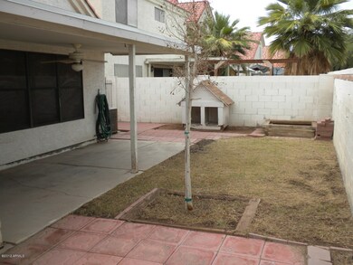 Back yard