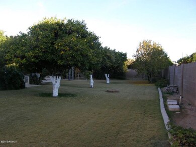 Backyard grassy area-Play Area