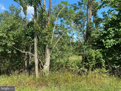 0 Timber Ridge Rd unit WVMO117112, Berkeley Springs, WV 25411 - photo 7