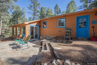 441 Paint Pony Ln, Florissant, CO 80816 - photo 4
