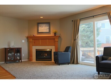 Living Room Gas Fireplace