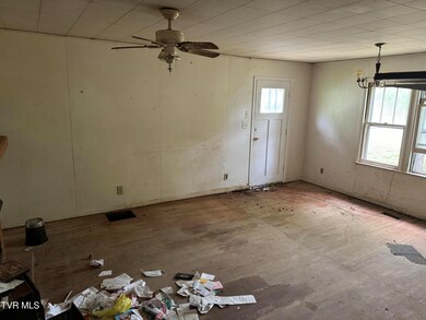 309 Roosevelt St, Johnson City, TN 37601 - photo 4