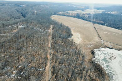 438 Ridenours Way, Falls of Rough, KY 40119 - photo 6