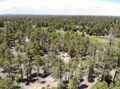 Torreon Golf course lots for sale