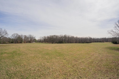 000 E State Highway Yy, Strafford, MO 65757 - photo 5