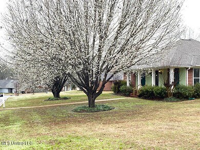 IMG_7003 copy