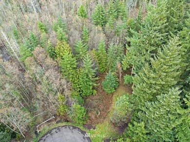 unlisted-address, Stanwood, WA 98292 - photo 2