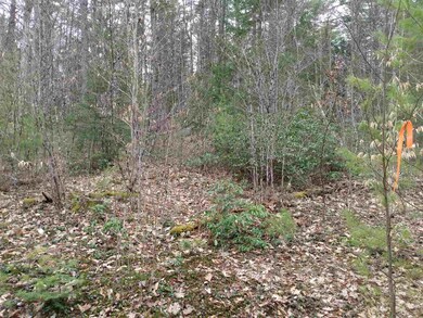 0 Off Rails To Trails Trail unit 12 4801015, Fitzwilliam, NH 03447 - photo 3