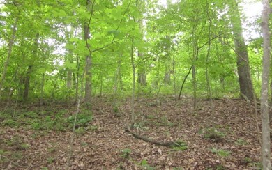 Additional View