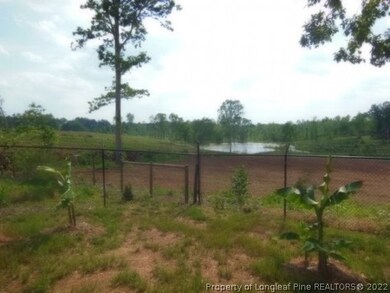 1011 Lake Dr, Siler City, NC 27344 - photo 2