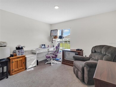 16669 Windmill Forge Pass, Wimauma, FL 33598 - photo 6