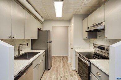 127 Turtle Creek Rd unit 3, Charlottesville, VA 22901 - photo 4