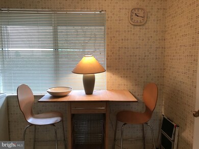 2500 Fairway Dr unit 626, Basye, VA 22810 - photo 6