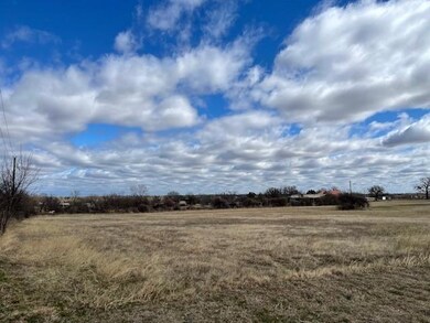 000 Laurie Ln, Springtown, TX 76082 - photo 2