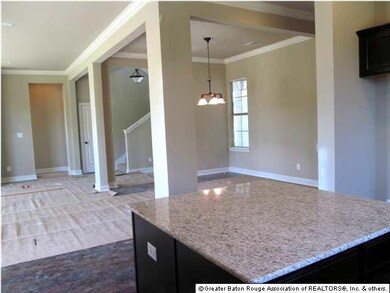 37441 AMALFI DR, PRAIRIEVILLE, LA 70769 Progress a