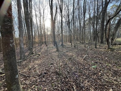 39 Quinton Rd, Rocky Face, GA 30740 - photo 3