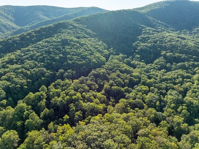 Lot 3 Wilderness Way, Ellijay, GA 30536 - photo 7