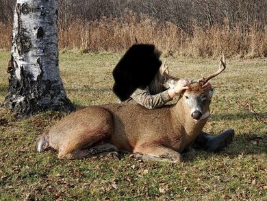 Buck shot on the property