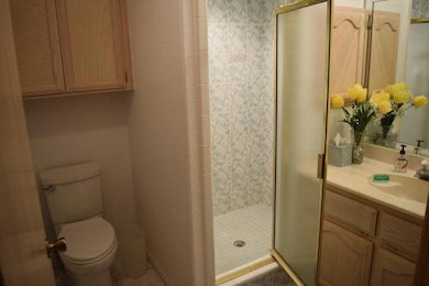 431 Belinda Dr unit 189, Alamo, TX 78516 - photo 5