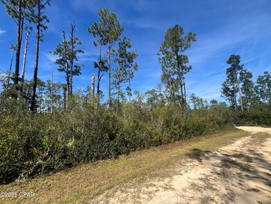 0 Gardenia St unit 780786, Fountain, FL 32438 - photo 2