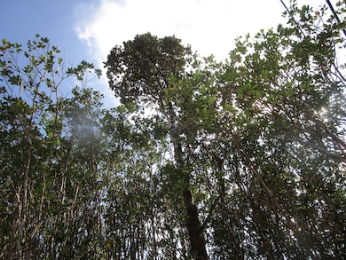 0 Lehua St unit 726299, Mountain View, HI 96771 - photo 2