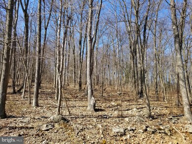 0 Bear Creek Rd unit PASK130084, Schuylkill Haven, PA 17972 - photo 3