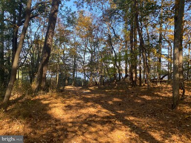 28156 Blueberry Ave, Dagsboro, DE 19939 - photo 4