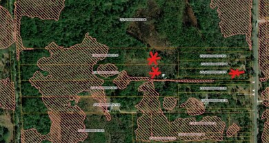 Red diagonal lines show location of flood zone A