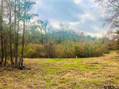 0000 County Road 21, Tyler, TX 75707 - photo 7