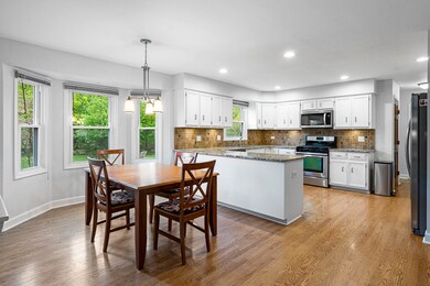 587 Bovidae Cir, Naperville, IL 60565 - photo 4