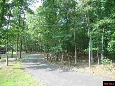 760-25349-000 Versailles Dr, Bull Shoals, AR 72619 - photo 2