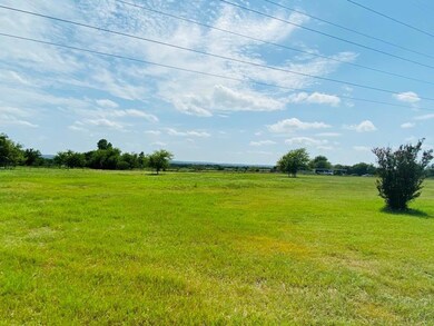 175 Overlook Trail, Azle, TX 76020 - photo 3
