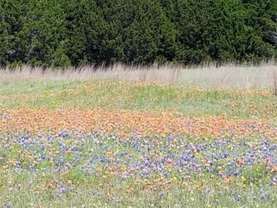 24153 Woodsetter Rd, Whitney, TX 76692 - photo 4