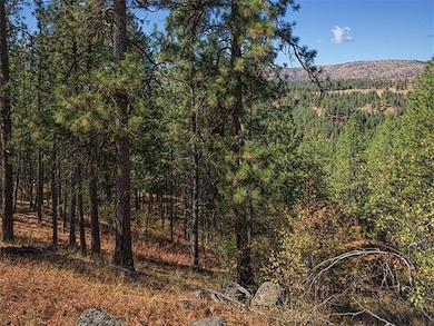 TBD Raven Ridge, Nine Mile Falls, WA 99026 - photo 4