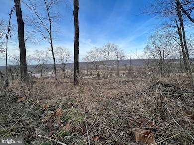 TBD Hummingbird Ln, Capon Bridge, WV 26711 - photo 6