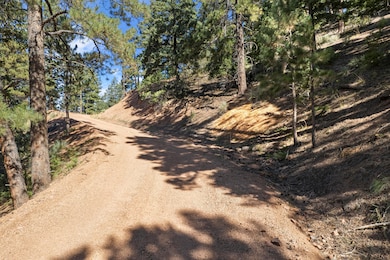 13126 Andiron Way, Larkspur, CO 80118 - photo 5