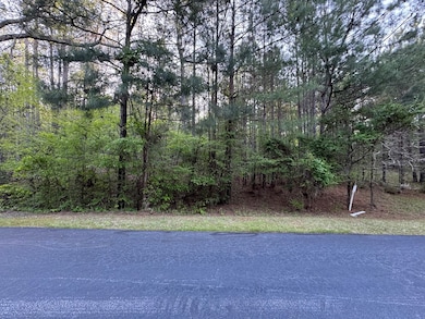 Lot 32A E Commodore Dr, Cross Hill, SC 29332 - photo 4