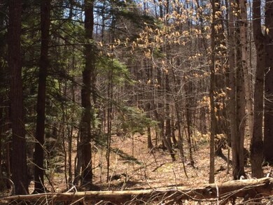 0 Upper Podunk Rd unit 4474759, Wardsboro, VT 05360 - photo 7