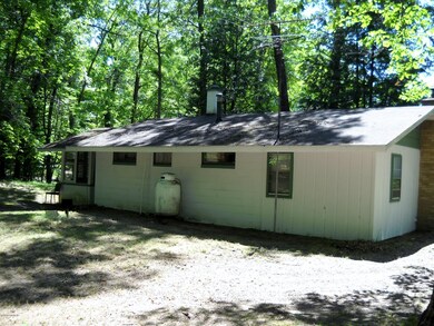 12014 Lake Ave, Bitely, MI 49309 - photo 4