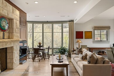 101 N Spring St unit 302, Aspen, CO 81611 - photo 5