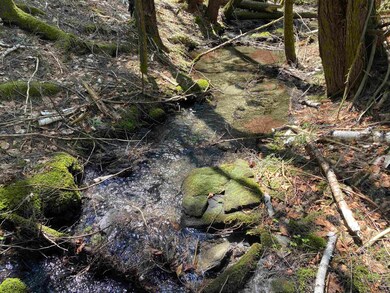 00 Minard Rd, Westminster, VT 05346 - photo 6