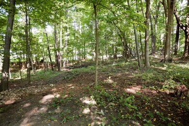 528 N Marshall Ave, Marshall, MI 49068 - photo 3